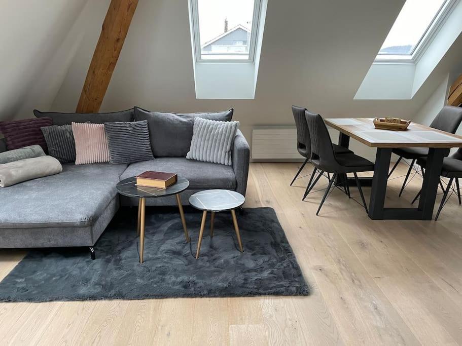 Gemuetliche & Zentrale Wohnung In Der Stadt Zuerich Eksteriør bilde